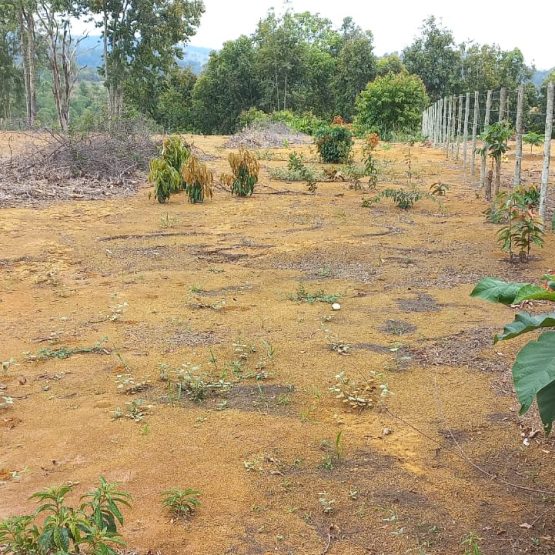 cava grande e 1