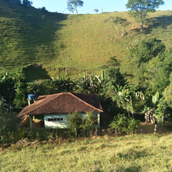 goiabal