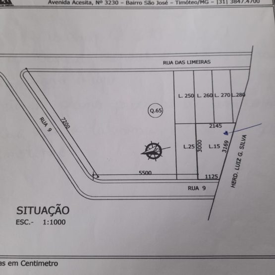 lote 1